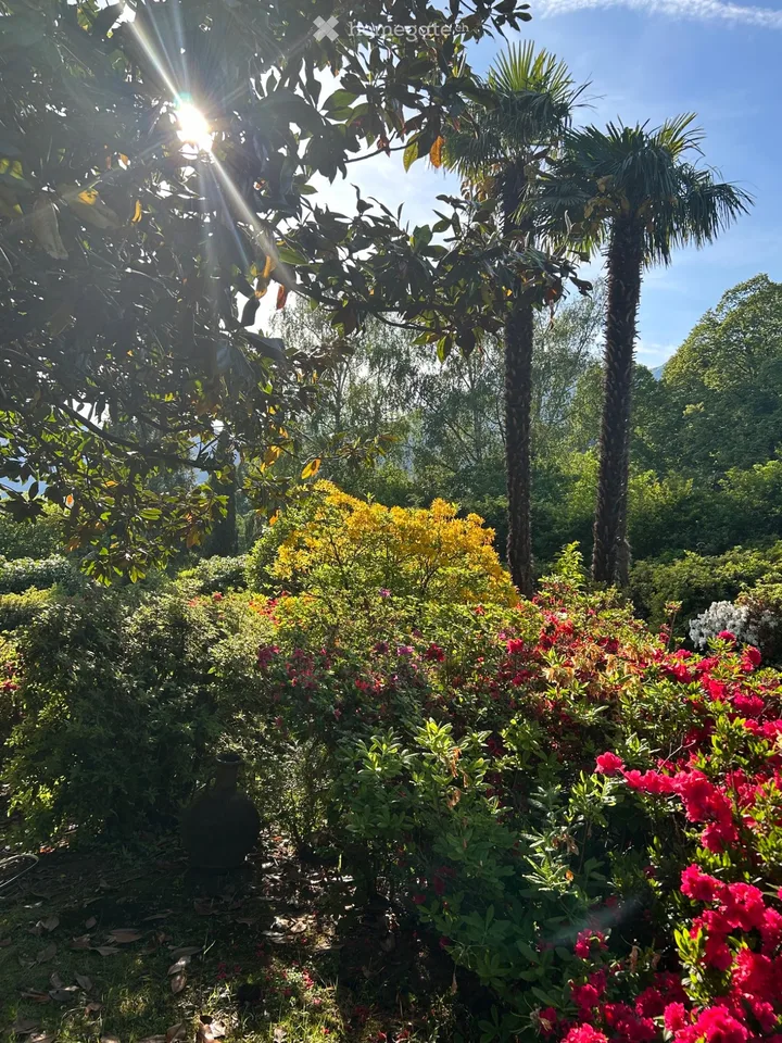 Gartenvilla mit Waldstück und Innenpool