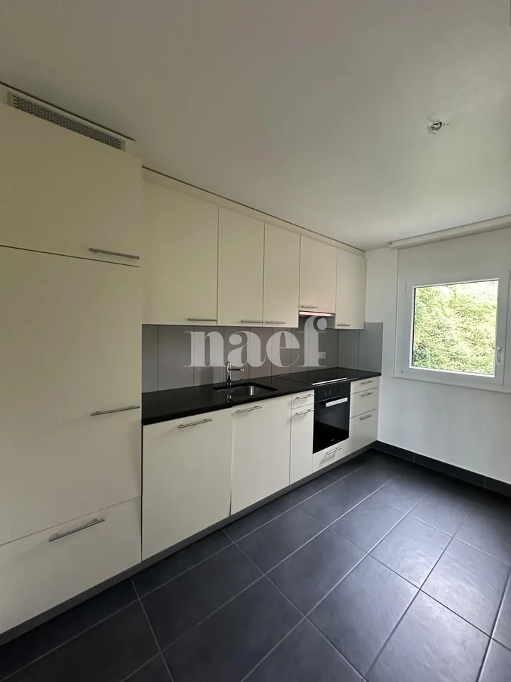 Appartement 4.5 pièces avec vue sur le lac