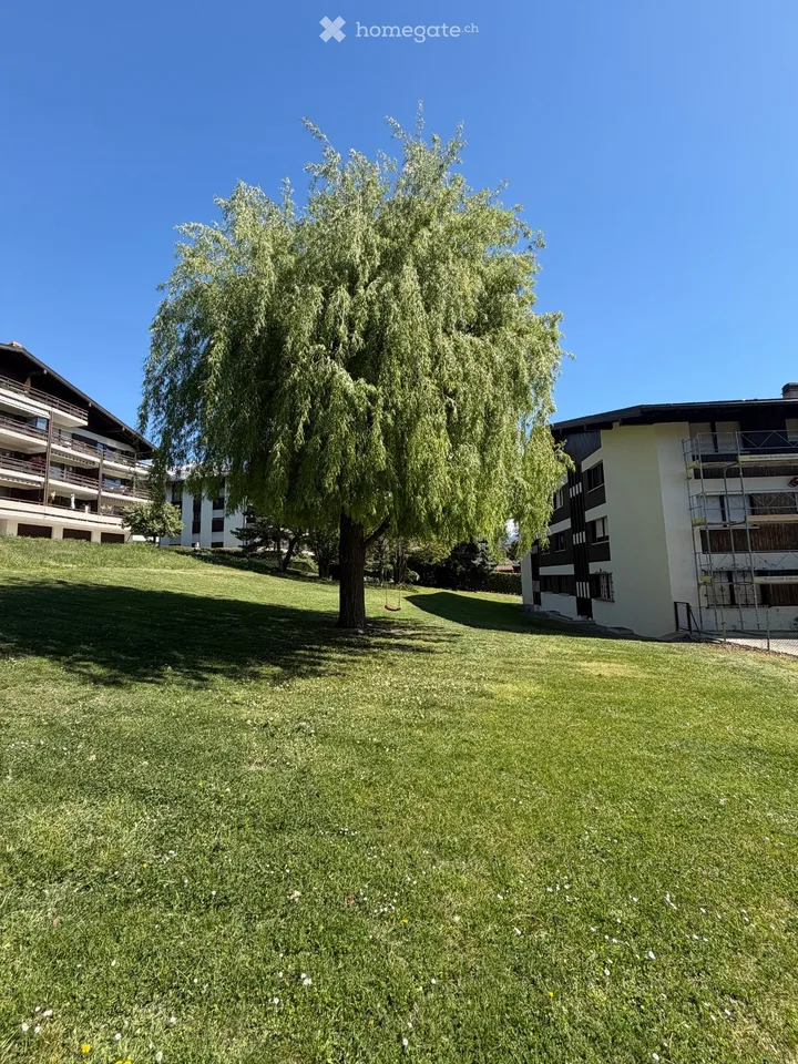Charmantes 2,5 Zimmerwohnung in Renovierung