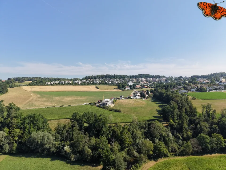 Magnifique 3.5 pces avec jardin privatif et beau dégagement