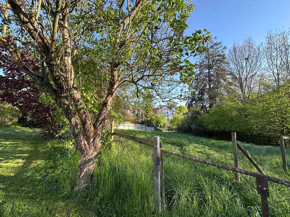 Terreno con potenziale