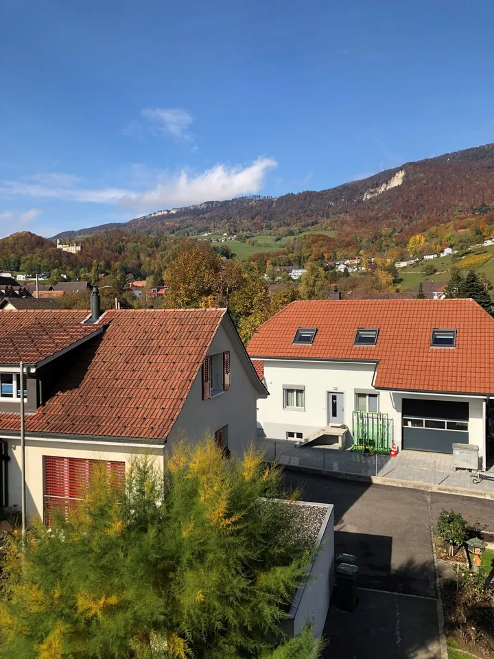 Exklusive grosse 4.5 Zi. Dachwohnung in 3 Familienhaus mit Rundumsicht inkl. eigener Hobbyraum – Foto 15 von 19