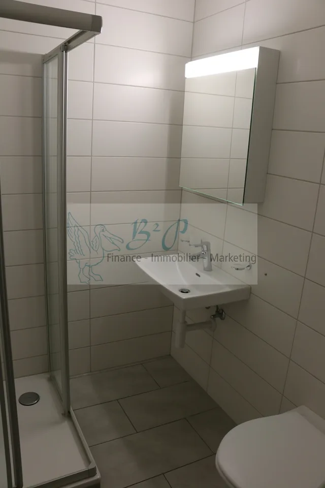 Wohnung mit 4.5 Zimmern im 5. Stock mit freier Sicht