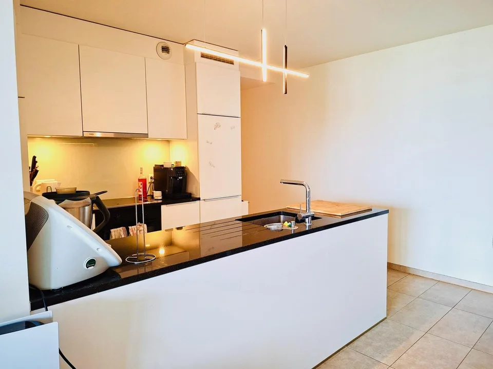 Bello appartamento arredato di 3.5 locali con balcone
