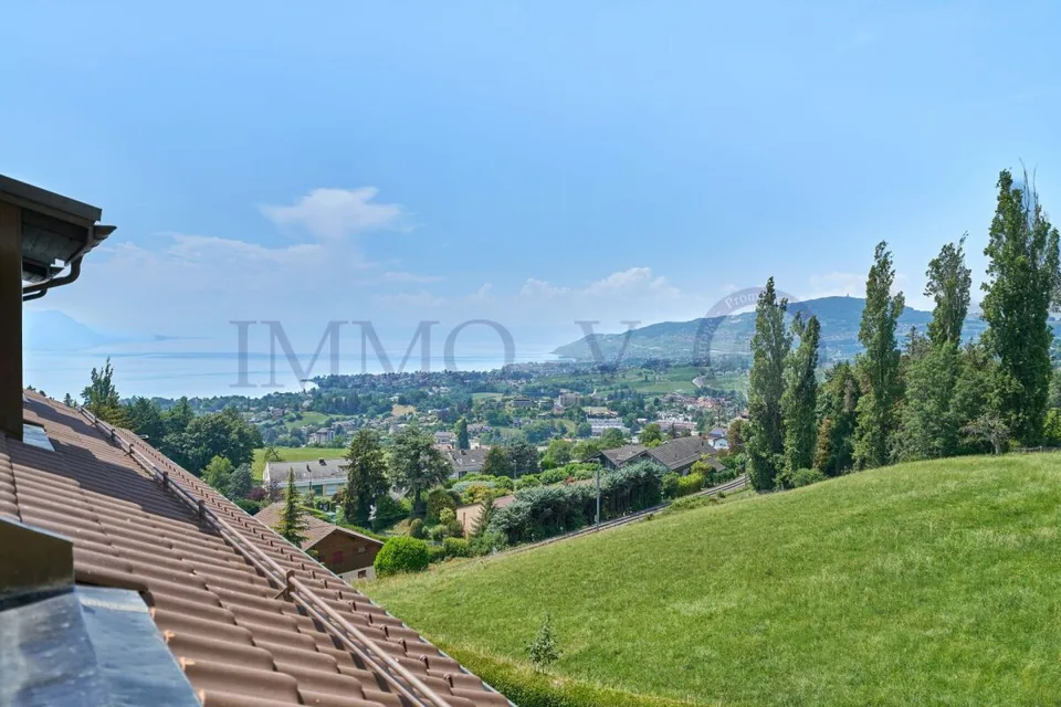 Geräumiges renoviertes Dachgeschoss mit Charme und Balkon-Terrasse mit Seeblick