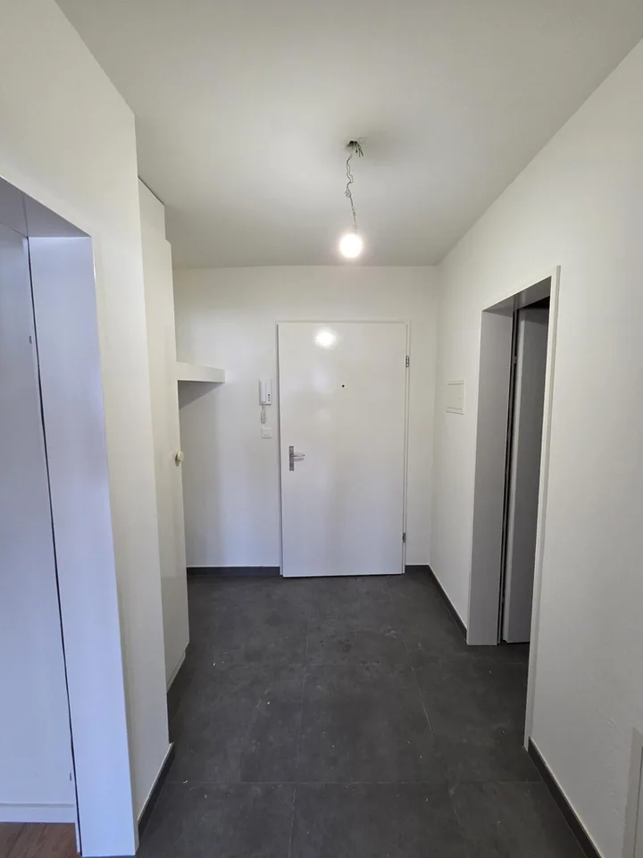 renovated & spacious, with private laundry tower