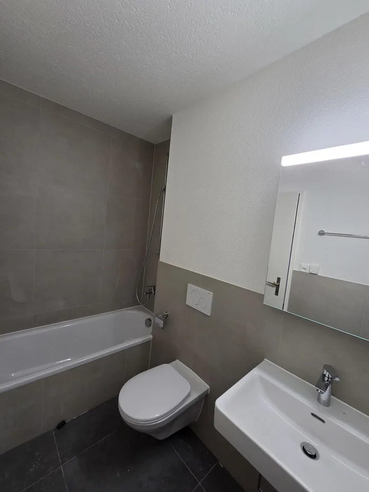 renovated & spacious, with private laundry tower