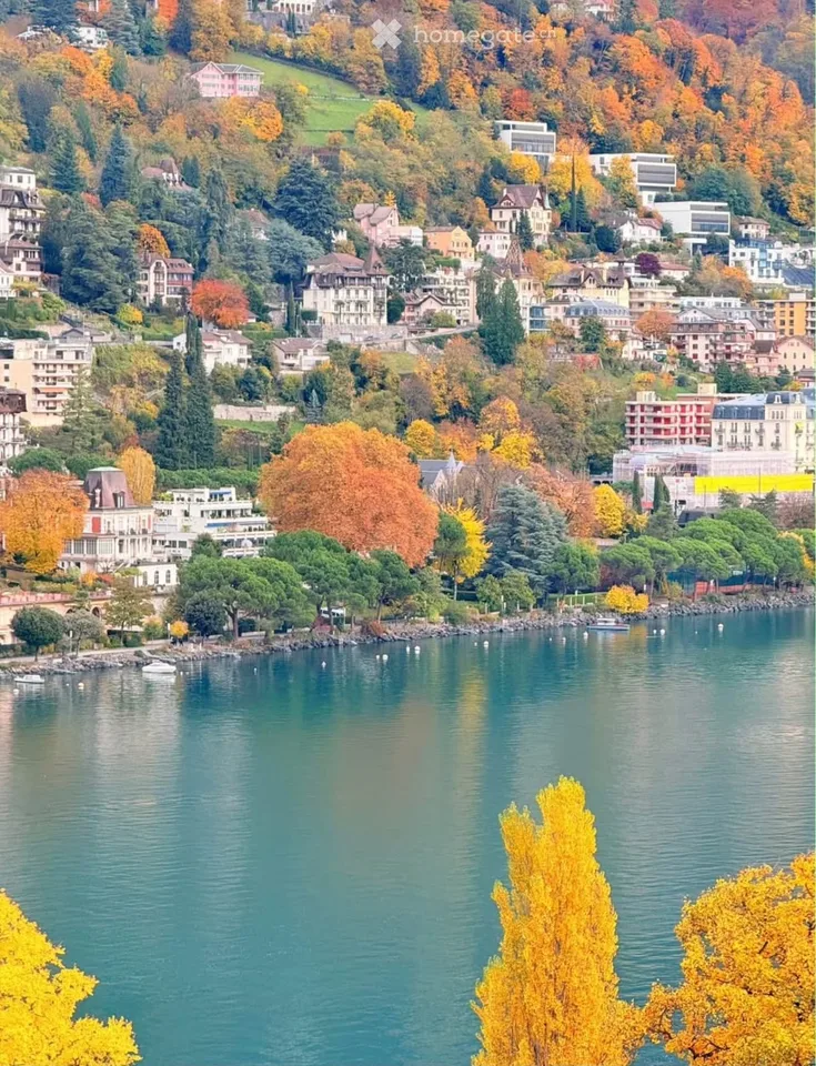 Beautiful 2-piece furnished apartment MEUBLÉ MONTREUX