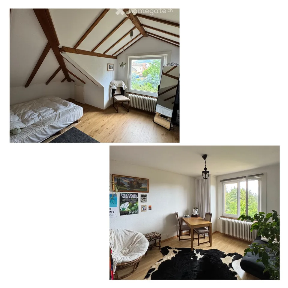 Charmant petit appartement sous les toits de Corcelles