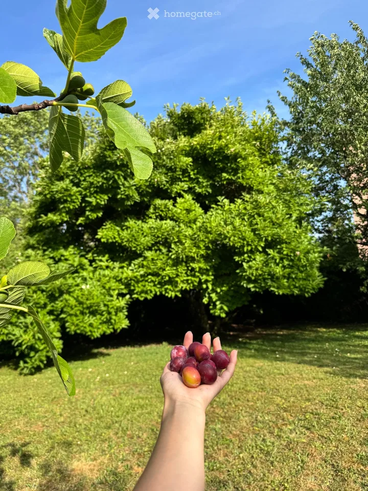 Delizioso piccolo appartamento mansardato a Corcelles