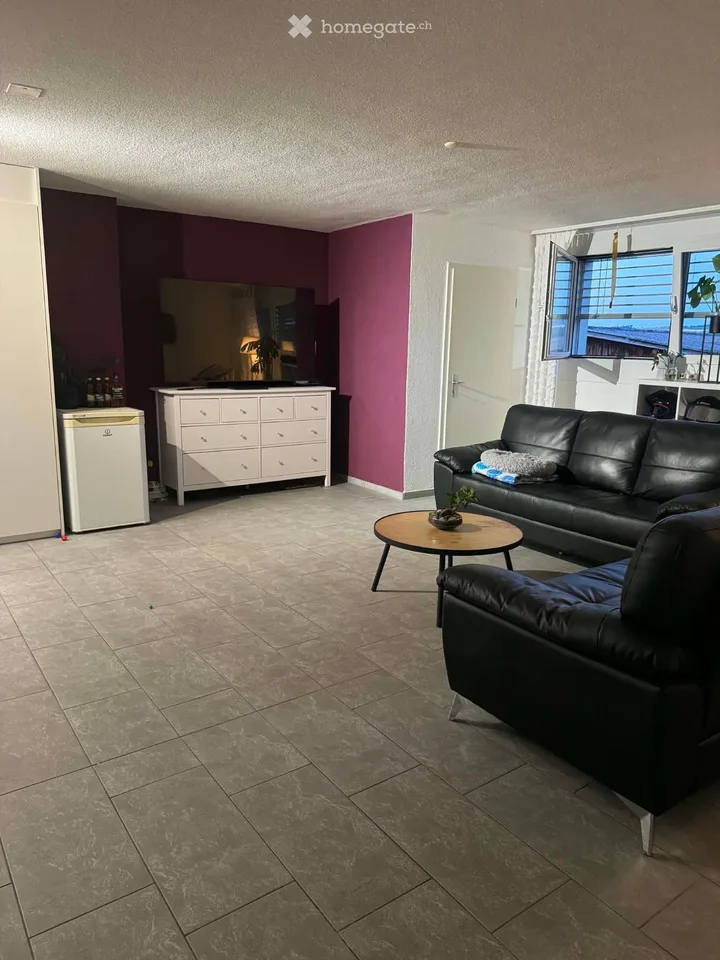 Charmante 3.5-Zimmer-Wohnung in Beinwil am See