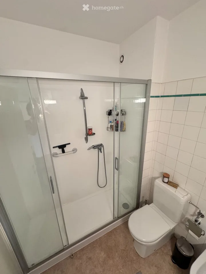 Helles 3.5-Zimmer-Apartment mit großem Terrassenbereich