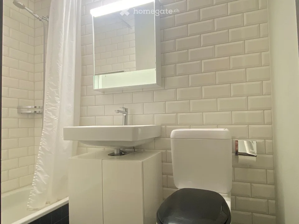Möblierte 2.5-Zimmer-Wohnung an der Kanzleistrasse in Zürich