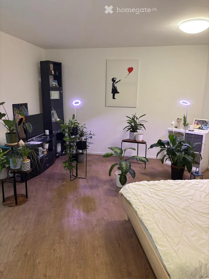 Gemütliches Studio-Apartment in Winterthur-Töss – sofort verfügbar!