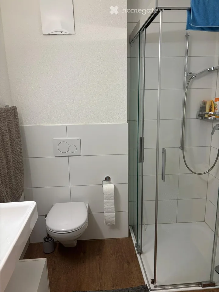 Appartamento-studio accogliente a Winterthur-Töss – disponibile immediatamente!