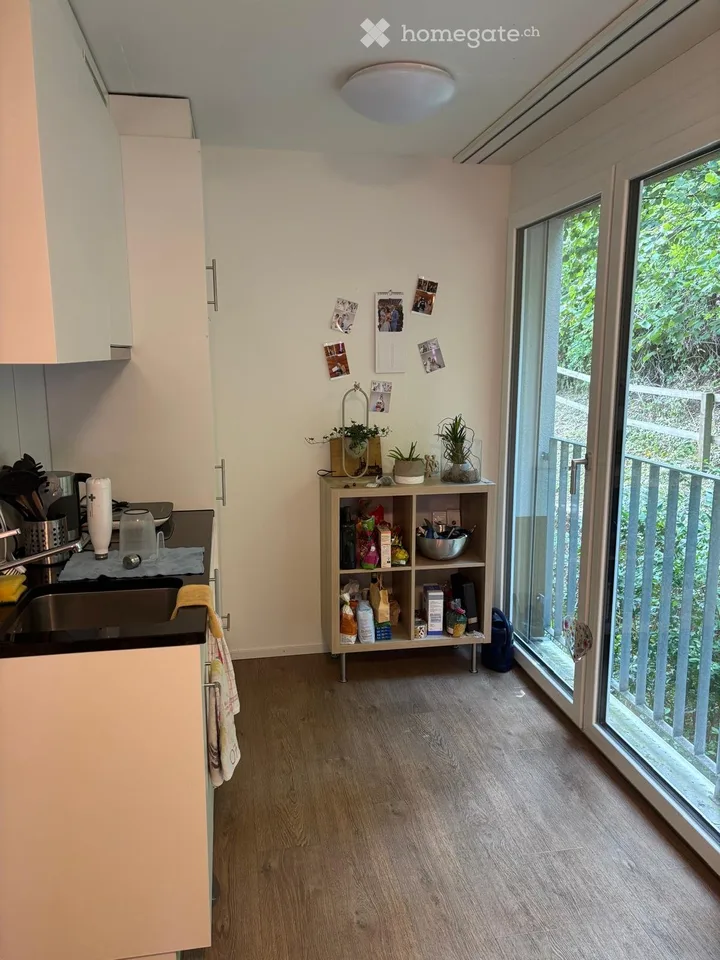 Appartamento-studio accogliente a Winterthur-Töss – disponibile immediatamente!