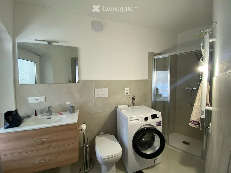 I'm looking for a roommate