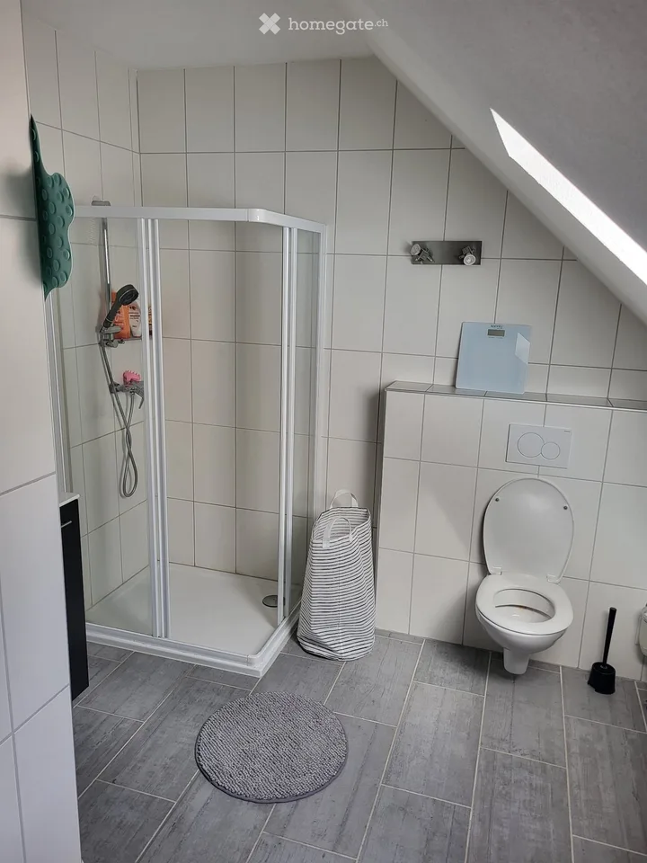 Appartement der gehobenen Klasse / Duplex