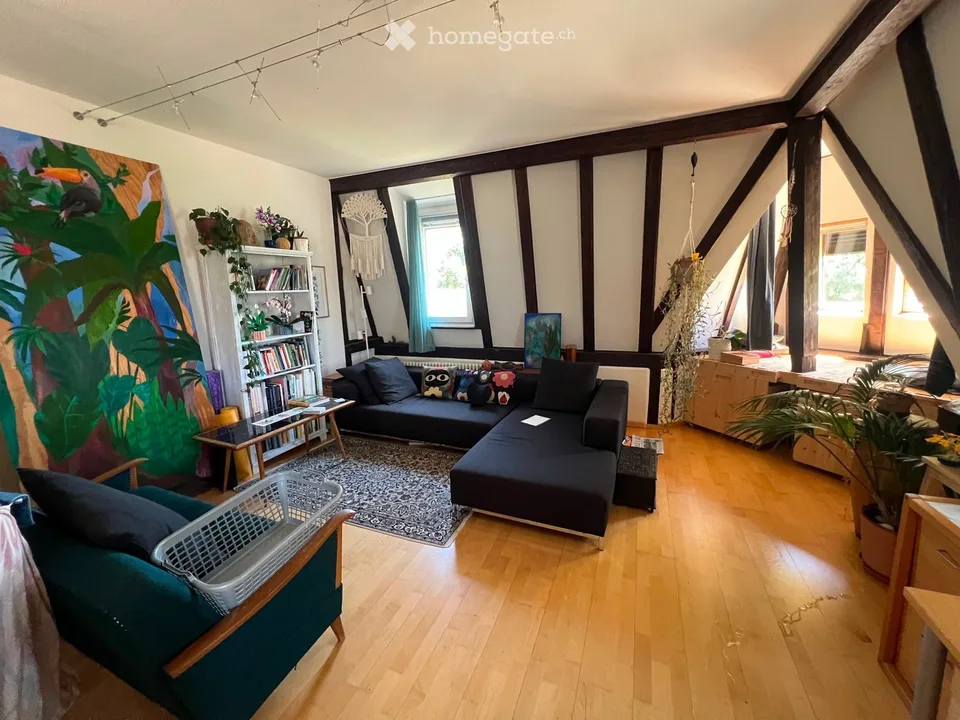 Charmante 4- Zimmer Dachwohnung in Münchenstein - ab November