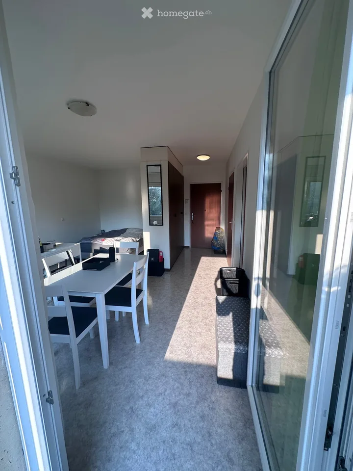 Grand studio avec balcon verdoyant et calme à Fribourg