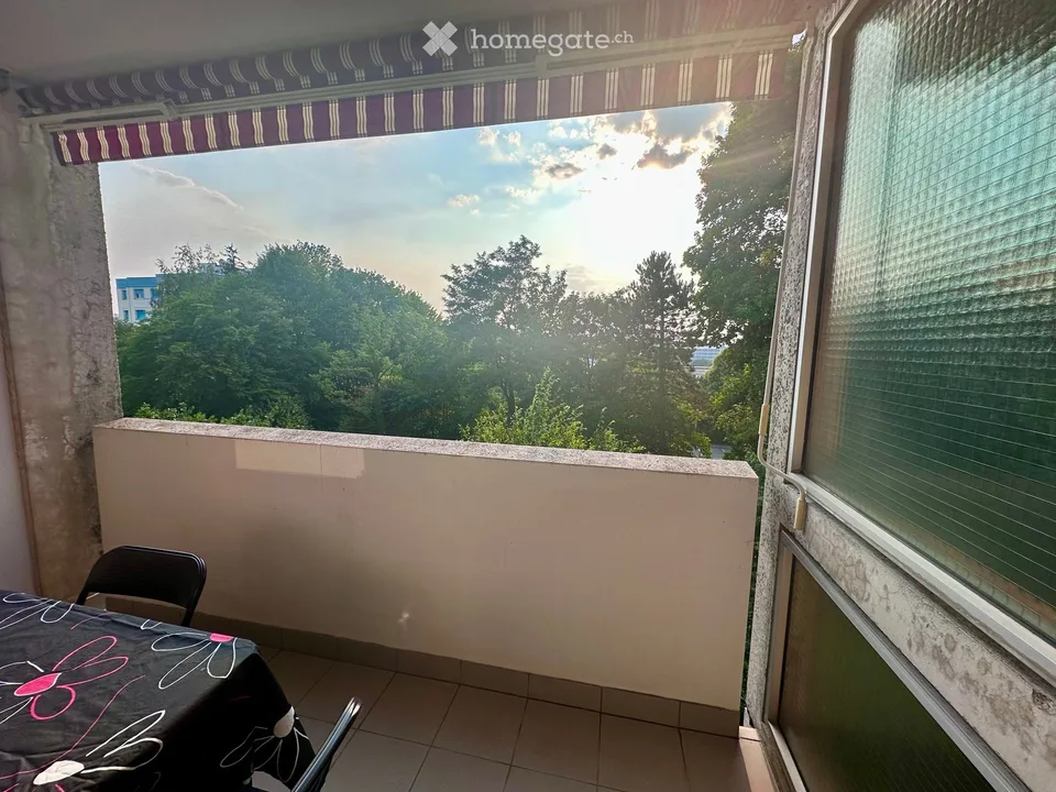 Grand studio avec balcon verdoyant et calme à Fribourg