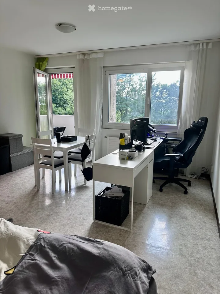 Grand studio avec balcon verdoyant et calme à Fribourg