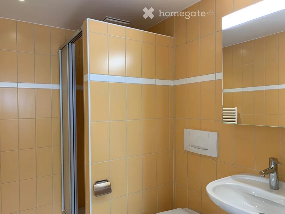 Duplex-Wohnung mit 4.5 Zimmern