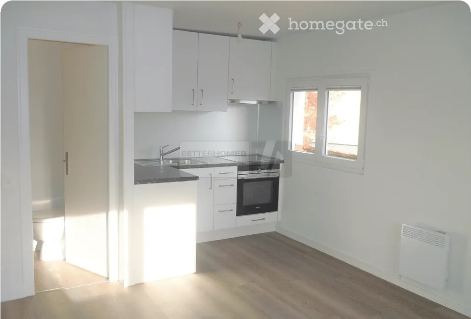 armant appartement de 2 pièces à Rolle, au bord du Léman