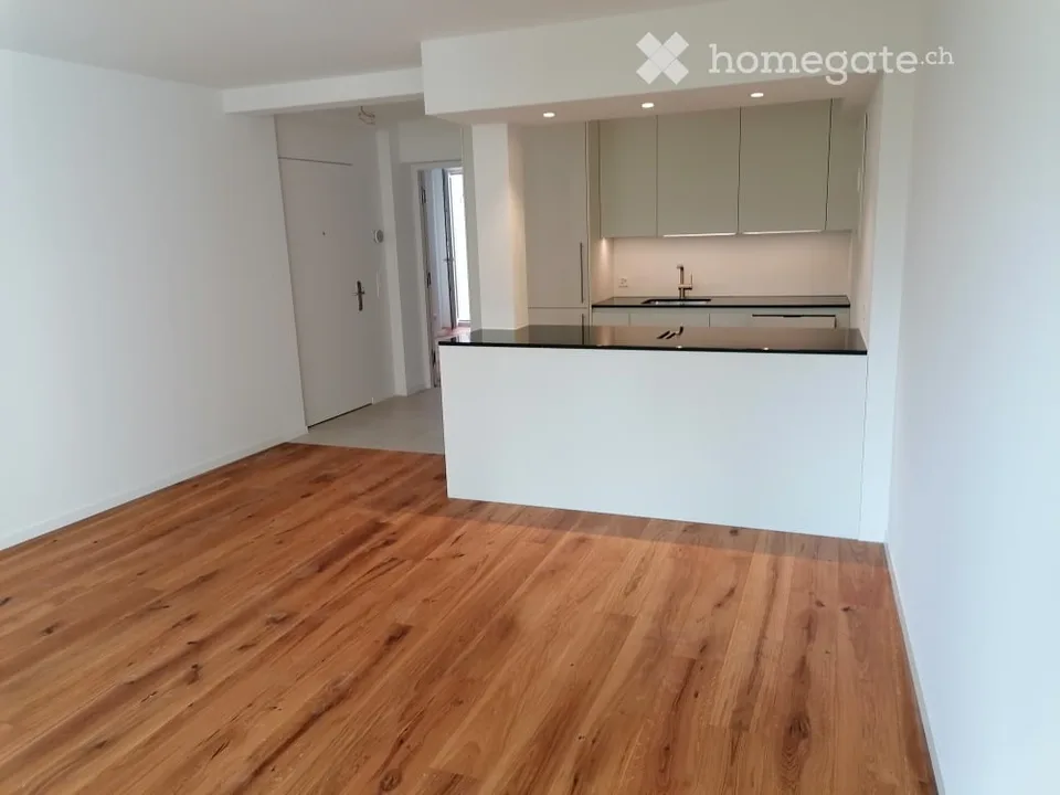 Appartamento per amanti con cortile interno privato al piano terra su Hofackerstrasse, Zurigo 8032