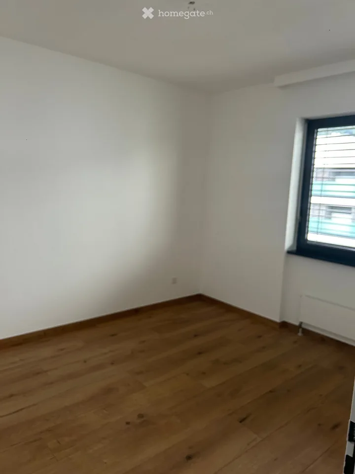 I'm looking for a sublessee for 3.5 rooms in Pregassona