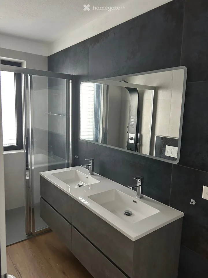 I'm looking for a sublessee for 3.5 rooms in Pregassona