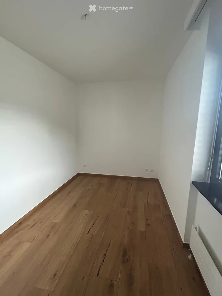 I'm looking for a sublessee for 3.5 rooms in Pregassona