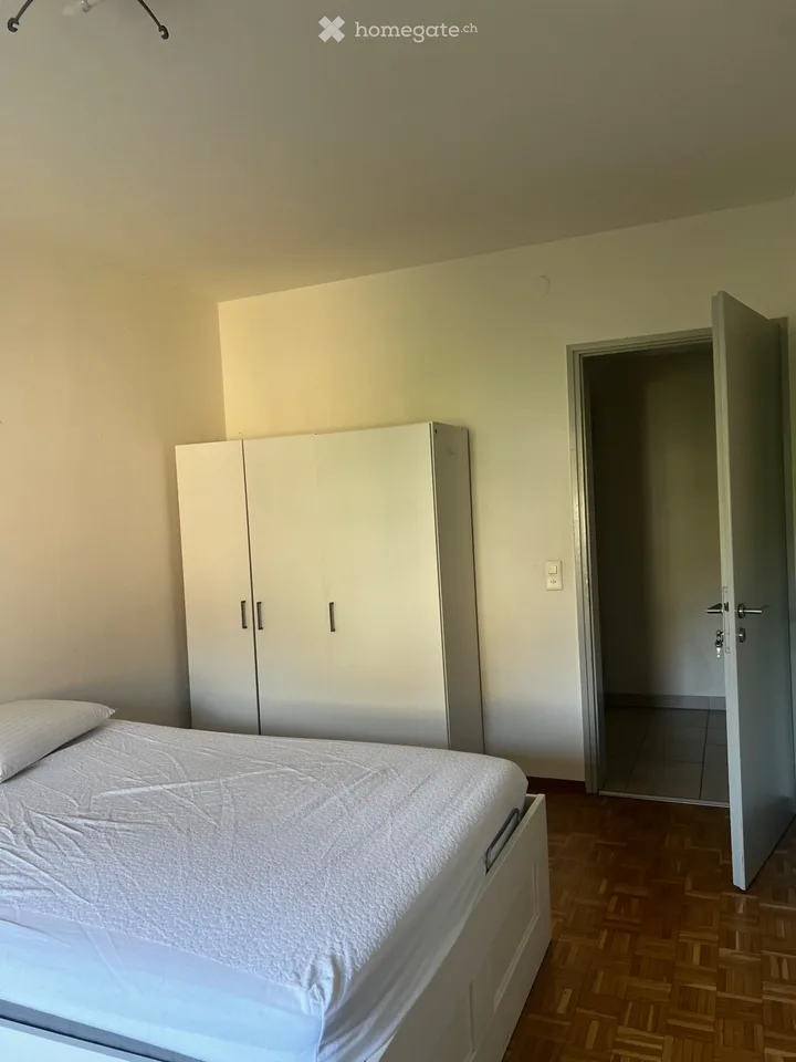 Stanza in affitto di fronte all'USI