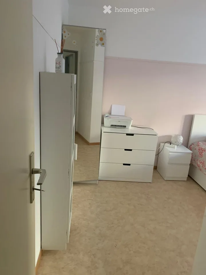 Camera spaziosa e arredata nel cantone di Ginevra