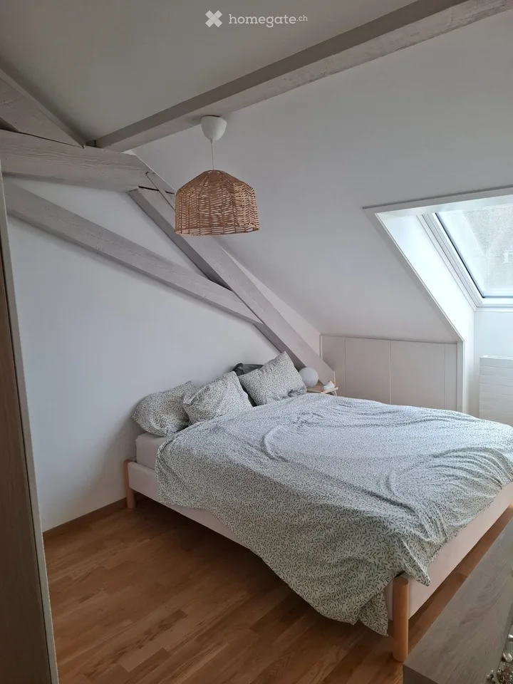 Extracentre - 2.5pcs - charmant et calme