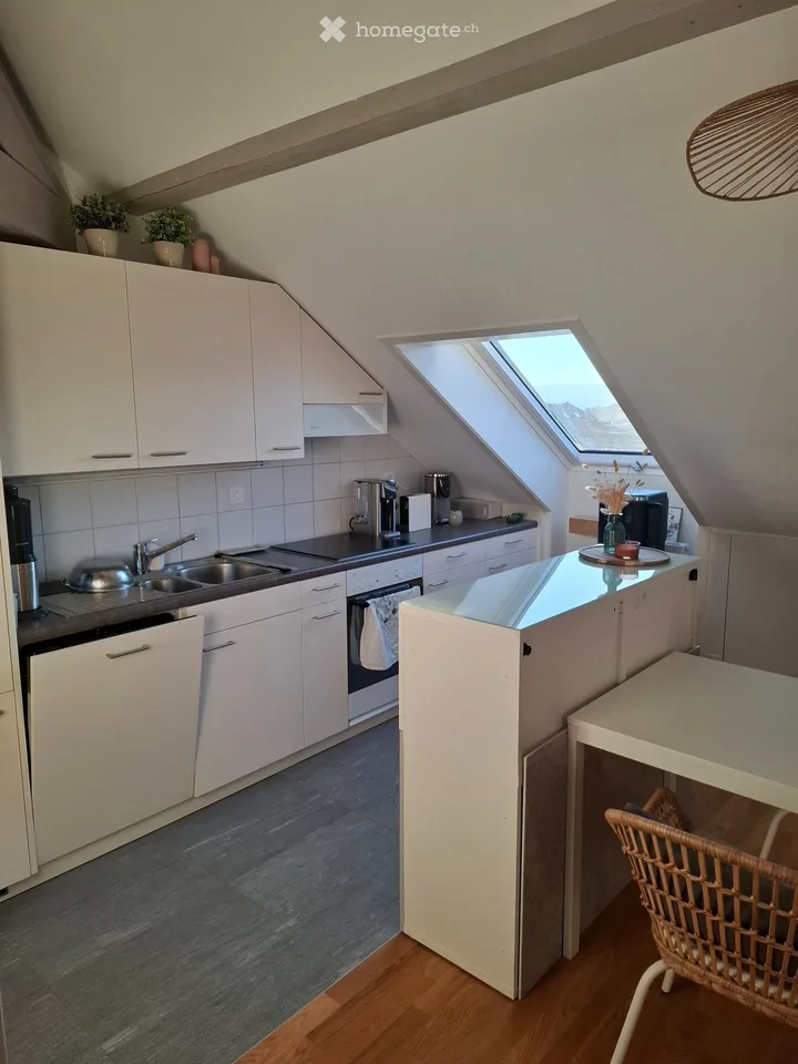Extracentre - 2.5pcs - charmant et calme