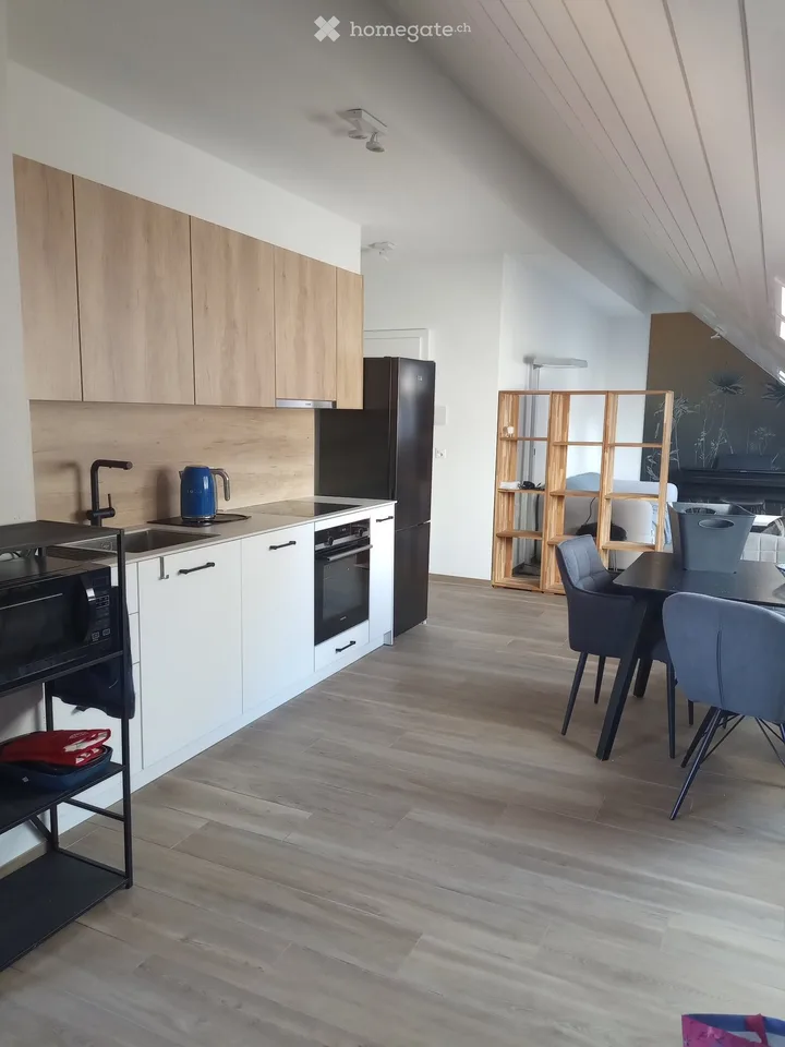 Furnished studio, 49 m2 floor space, including charges