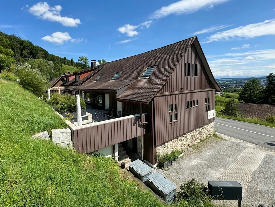 Loftwohnung mit Blick in den Weinberg
