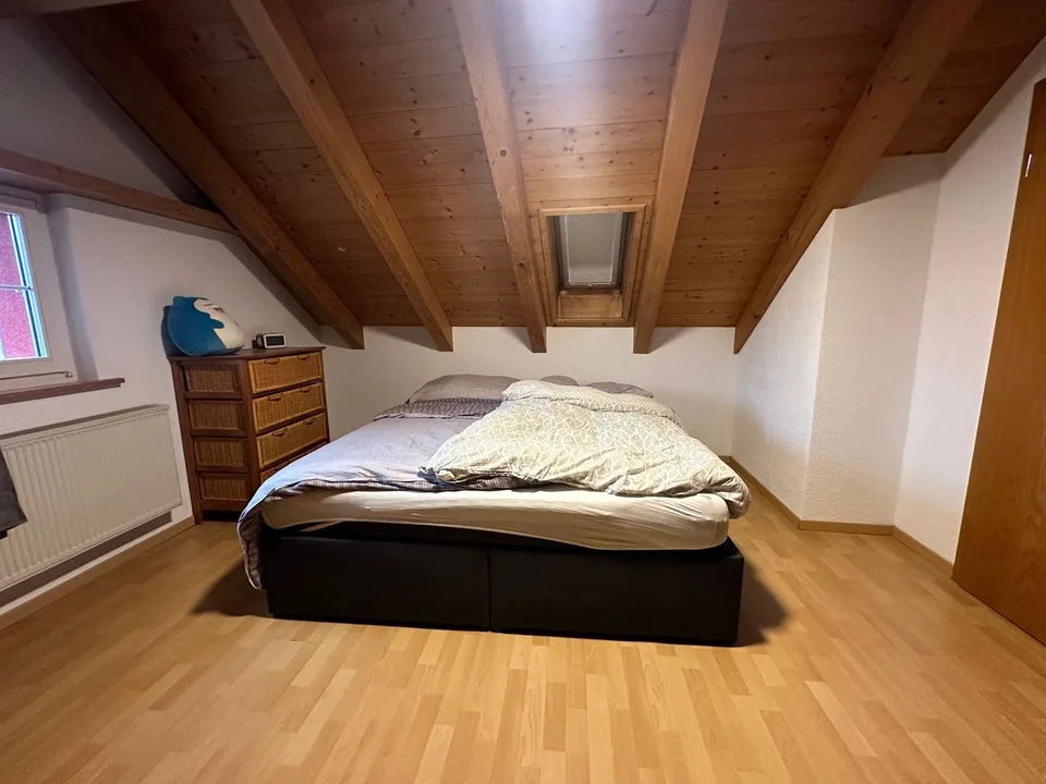 Maison d'habitation et de commerce – photo 8 sur 9