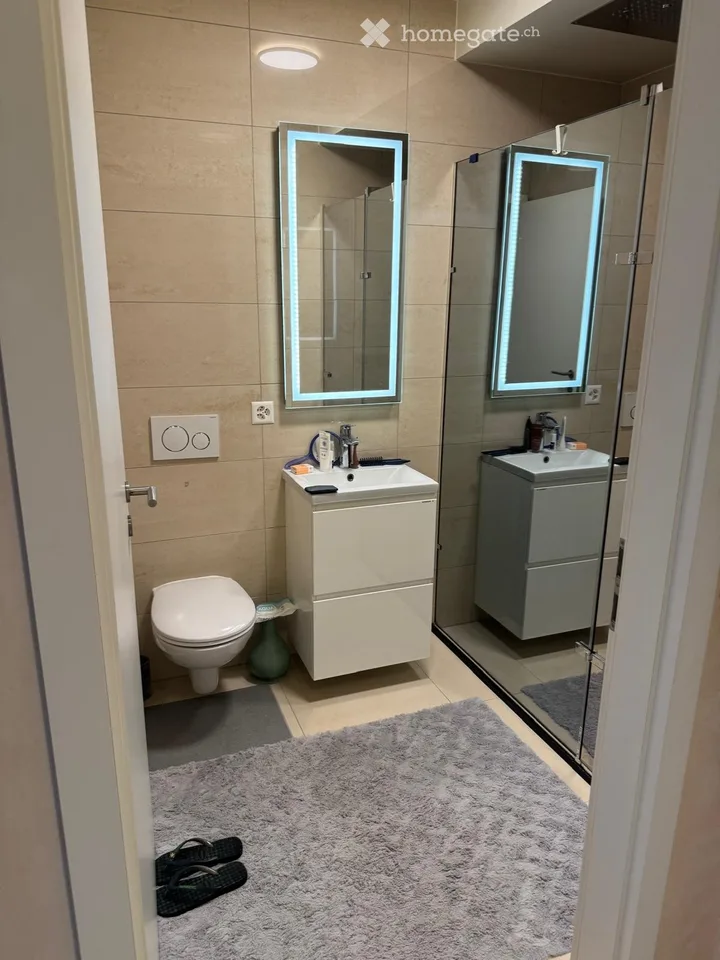 Direttamente dal proprietario: Grande appartamento di 3 locali con balcone a Carouge