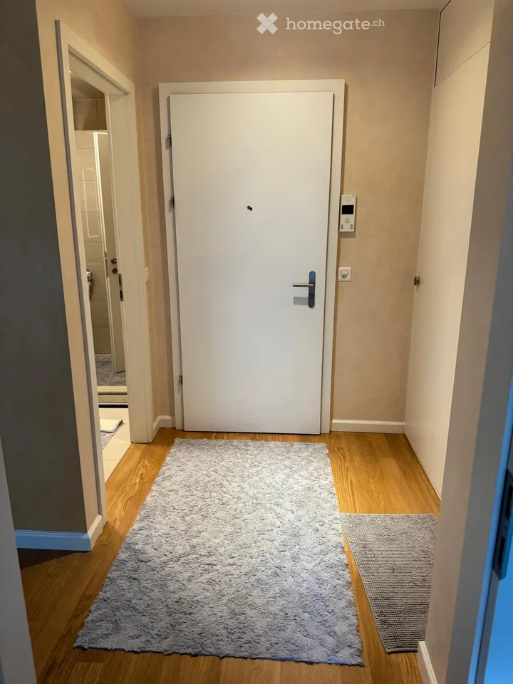 Direttamente dal proprietario: Grande appartamento di 3 locali con balcone a Carouge