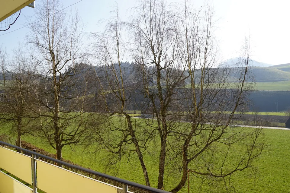 Zu vermieten 4 Zimmerwohnung nähe Lützelflüh
