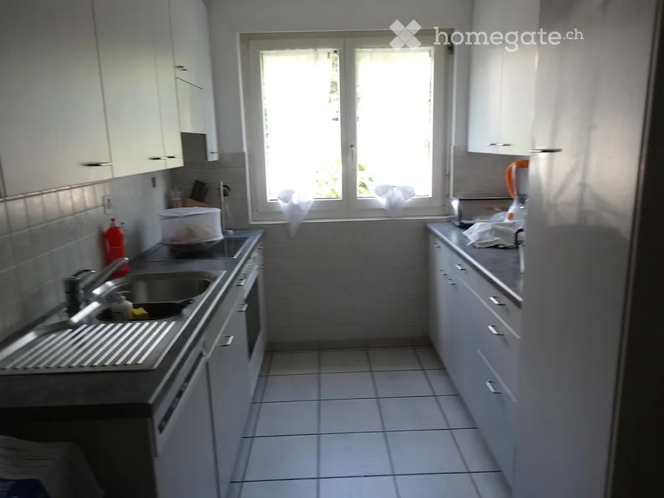 4.5 Room Apartment in Neerach