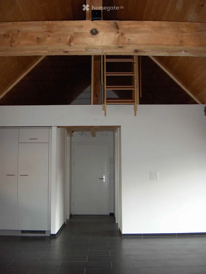Stylish Attic Appartment in the city - Foreigners preferred