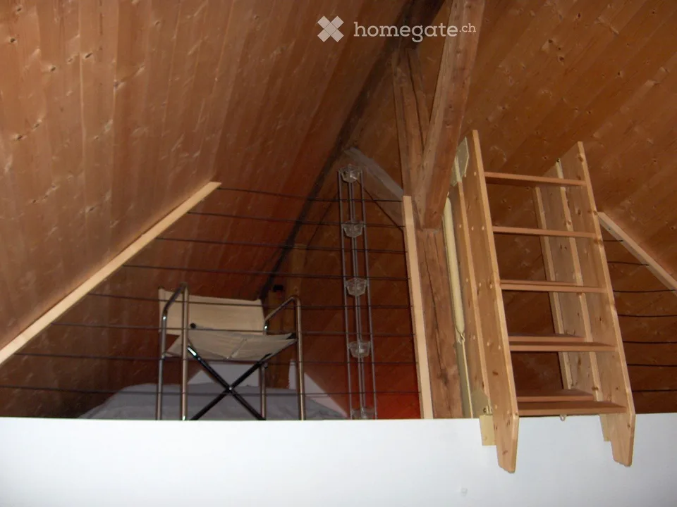 Stylish Attic Appartment in the city - Foreigners preferred