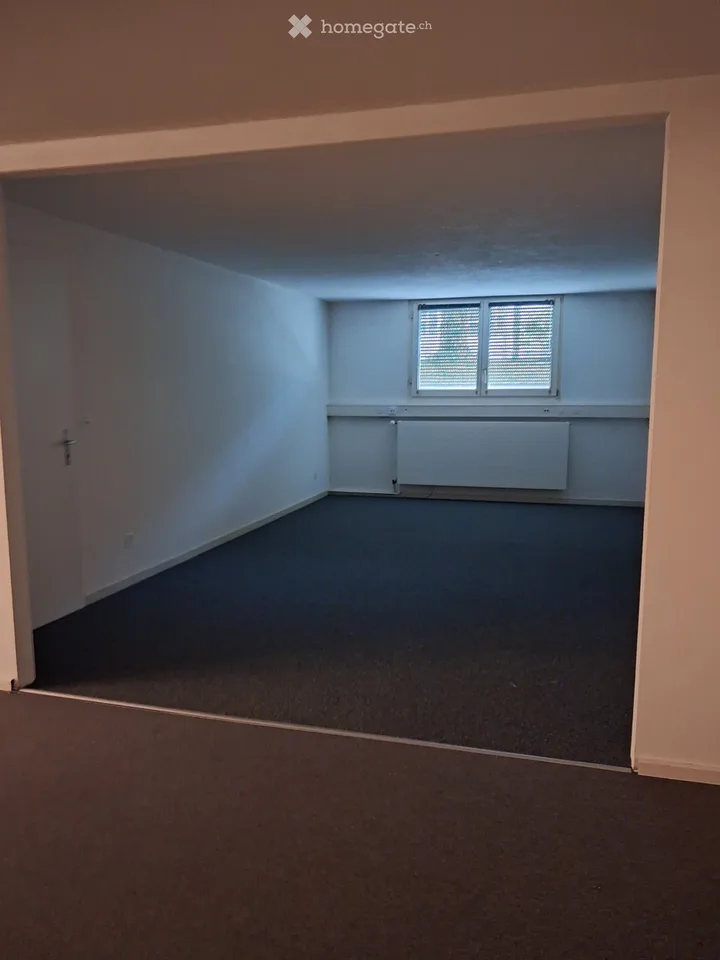 Büroraum im Tiefparterre mit Tageslicht zu vermieten – Schaffhauserstrasse 179