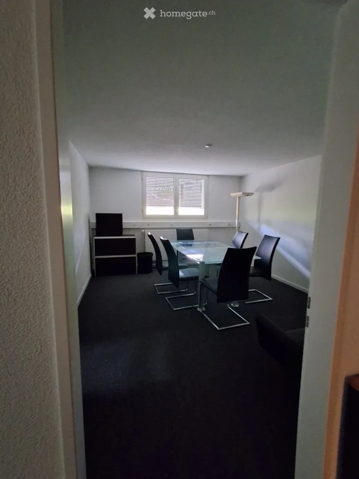 Büroraum im Tiefparterre mit Tageslicht zu vermieten – Schaffhauserstrasse 179