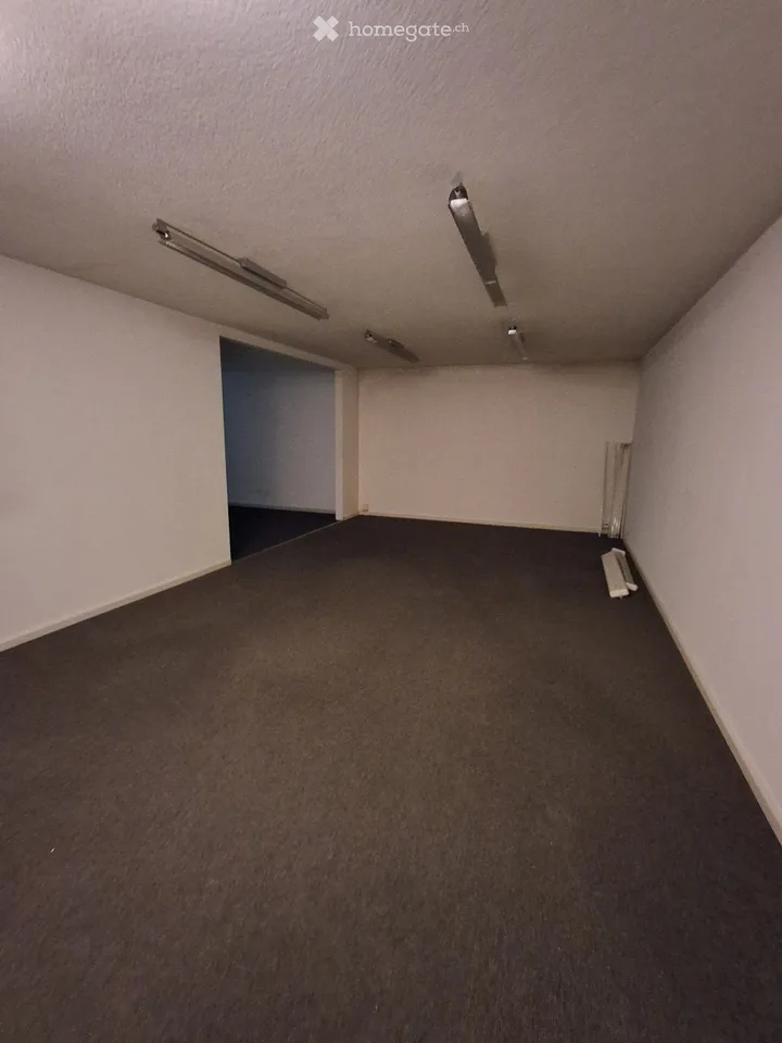 Büroraum im Tiefparterre mit Tageslicht zu vermieten – Schaffhauserstrasse 179