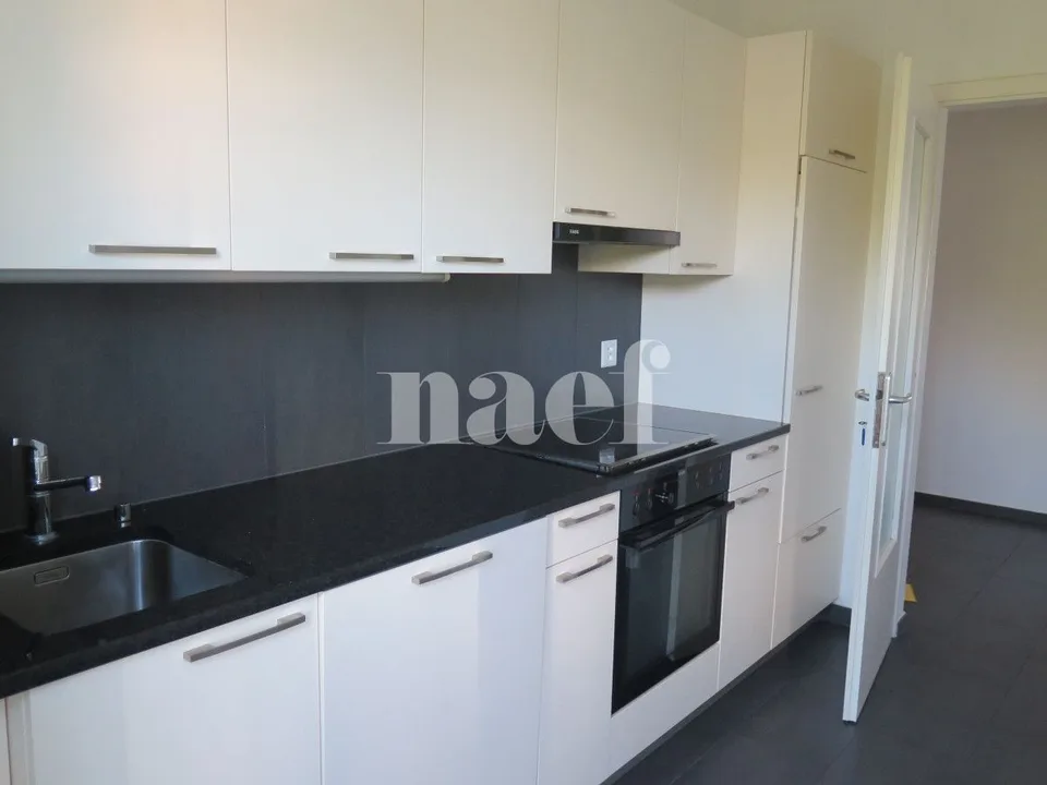 Wohnung mit 4 Zimmern und großem Balkon renoviert