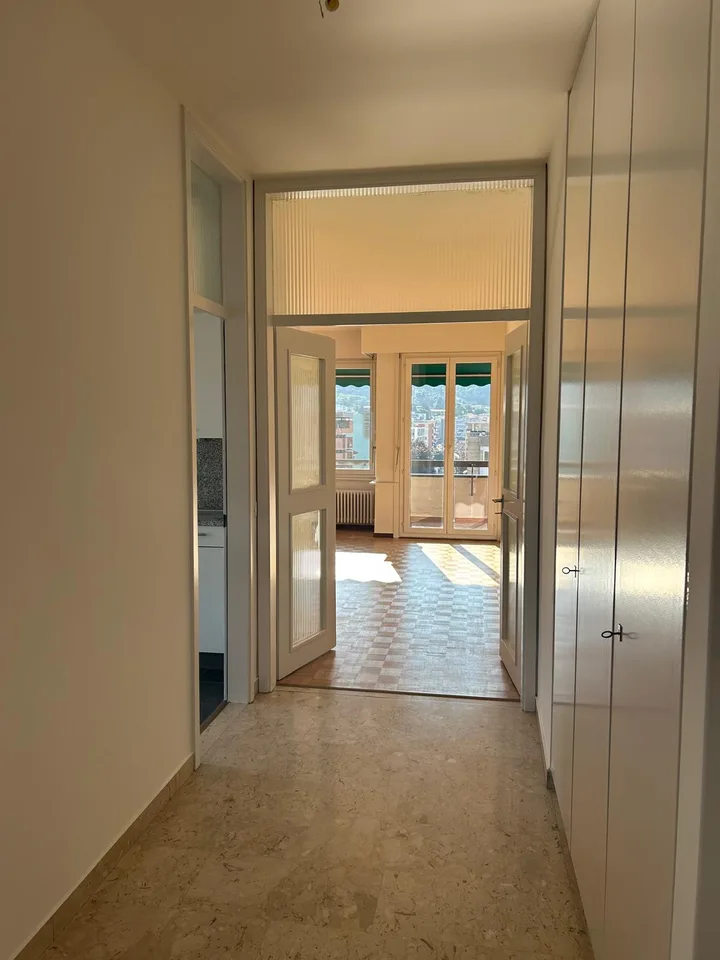 Helles 2.5-Zimmer-Apartment in Lugano